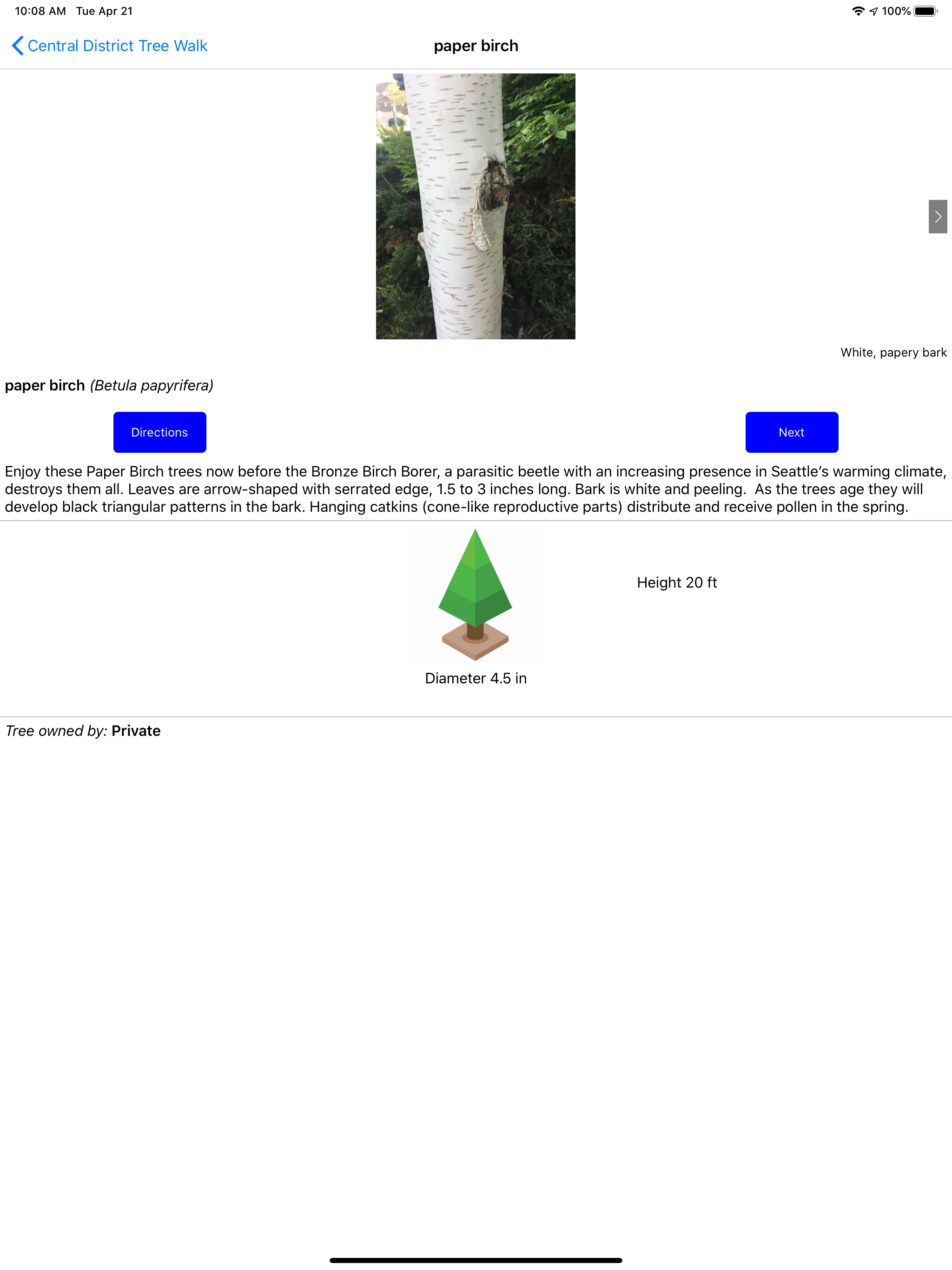 Seattle Tree Walks
