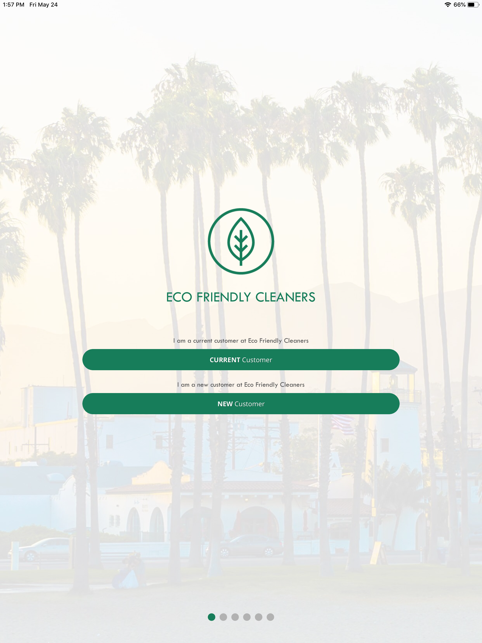 Eco Friendly Cleaners