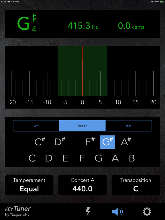 KeyTuner iPad screenshot 6 - Music app