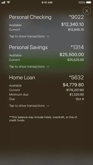 Great Basin FCU screenshot 1
