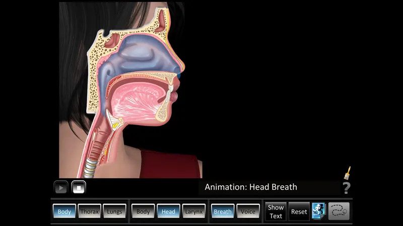 Respiration ID screenshot 2 of 5