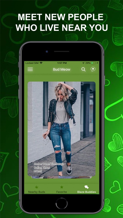 Bud Meow screenshot-3