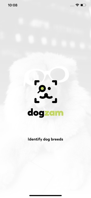 Dogzam(圖1)-速報App