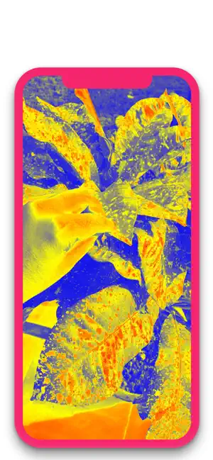 Captura de Pantalla 6 Photo Effects - Live Camera iphone