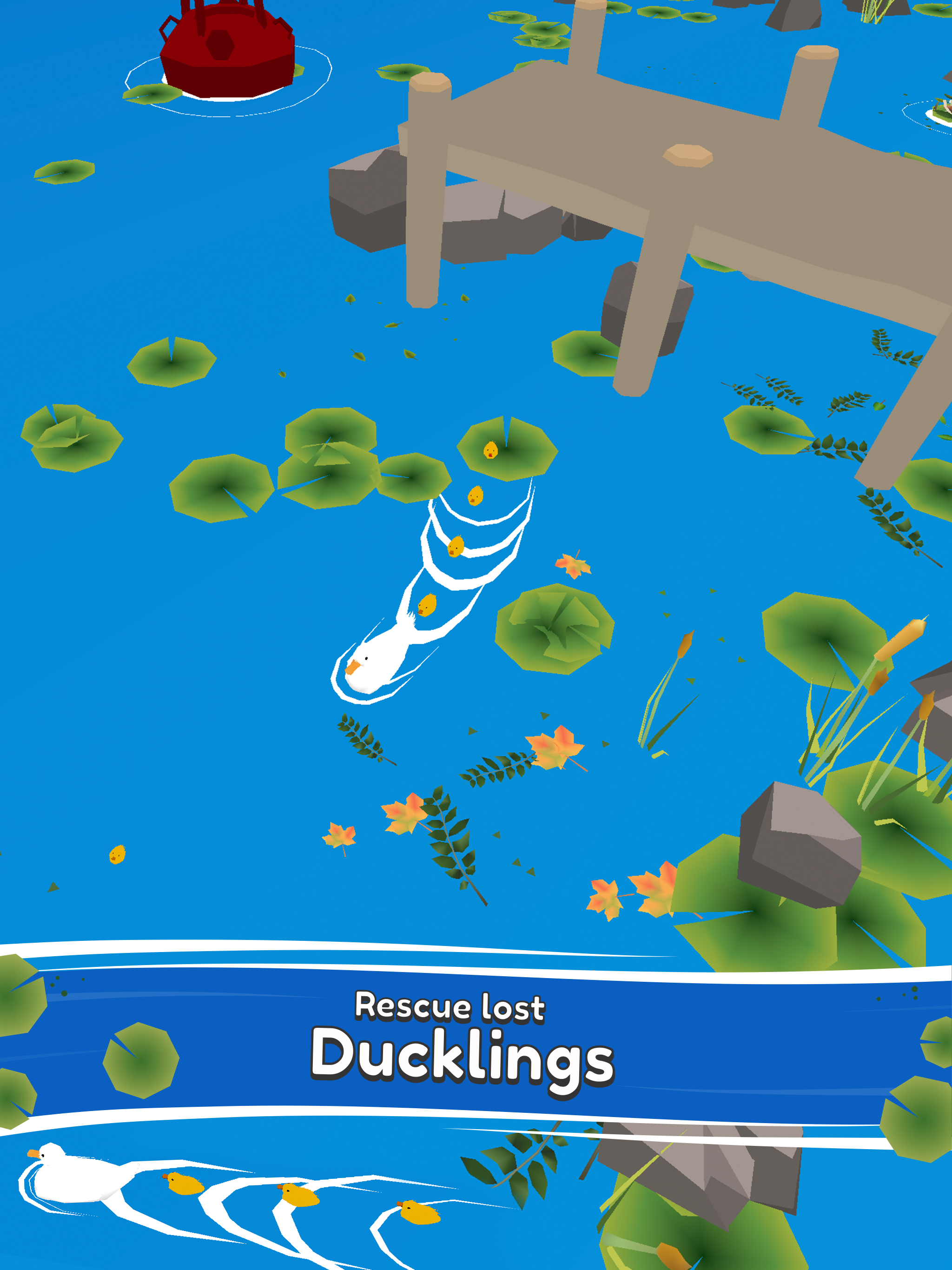 Ducklings!