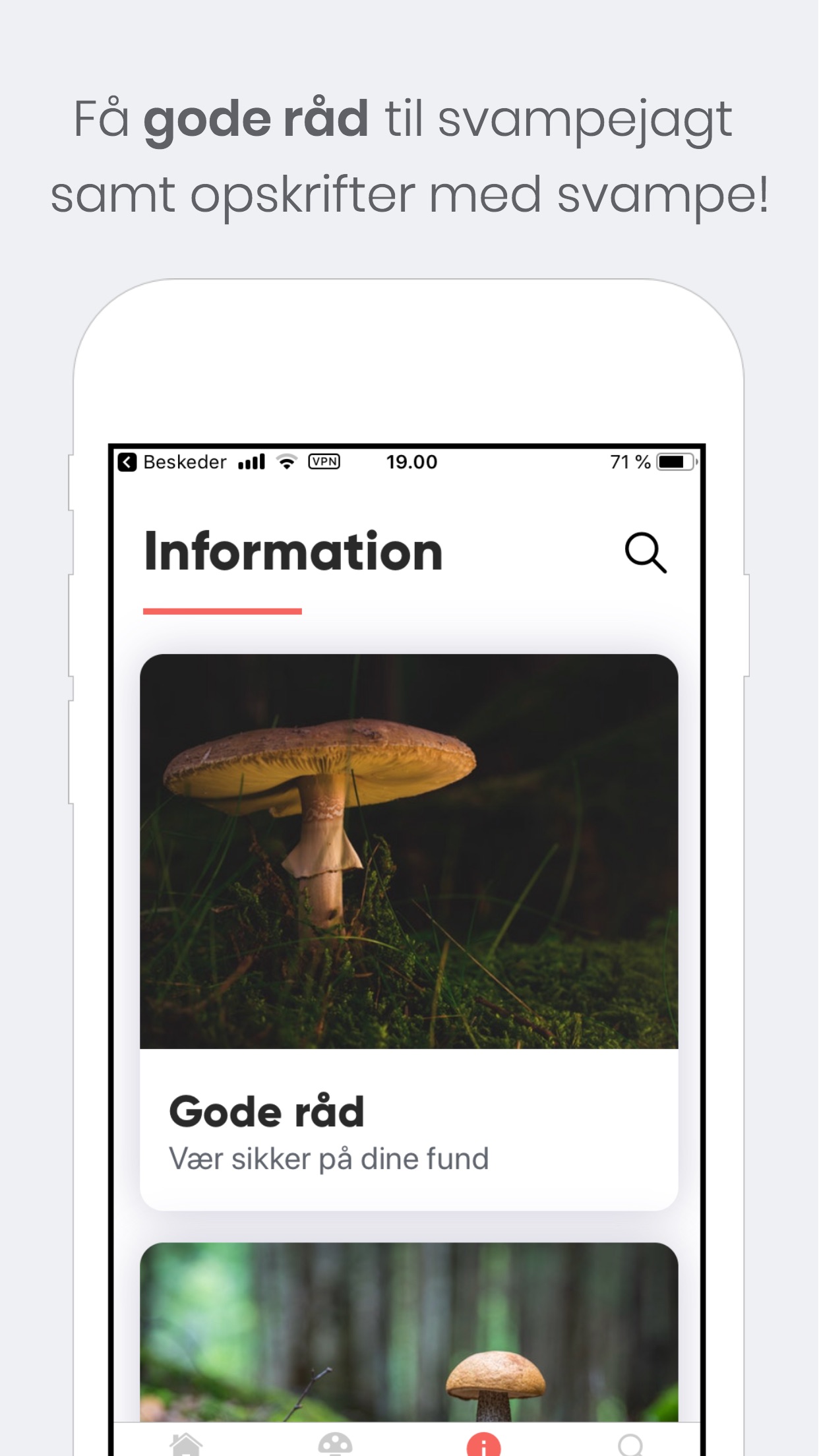 Screenshot 3 of Shroomi - Danske Svampe