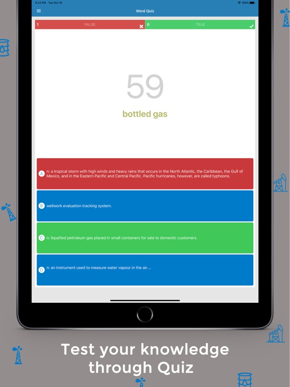 Petroleum Dictionary - Offline iPad screenshot