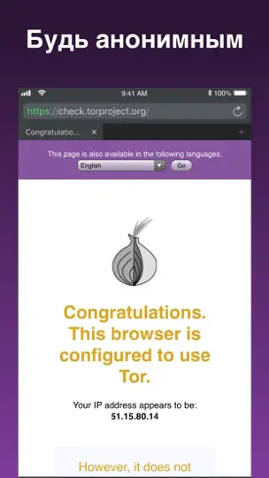 Скриншот ORSurf на iPhone 1