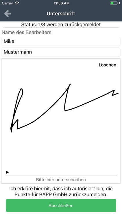 BAPP report screenshot-4