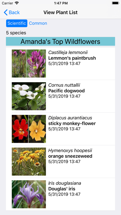Central California Wildflowers Screenshot