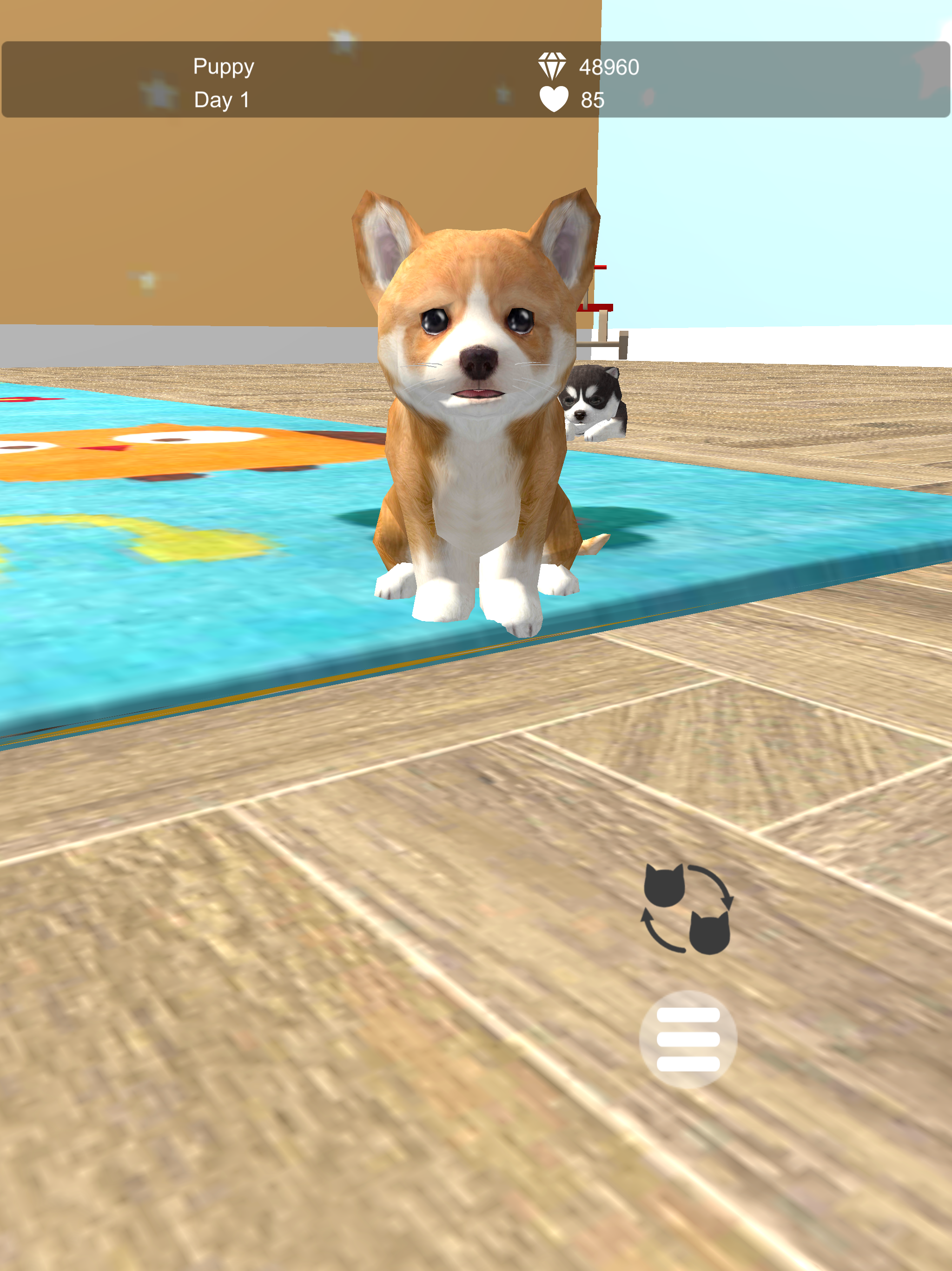 My Puppies