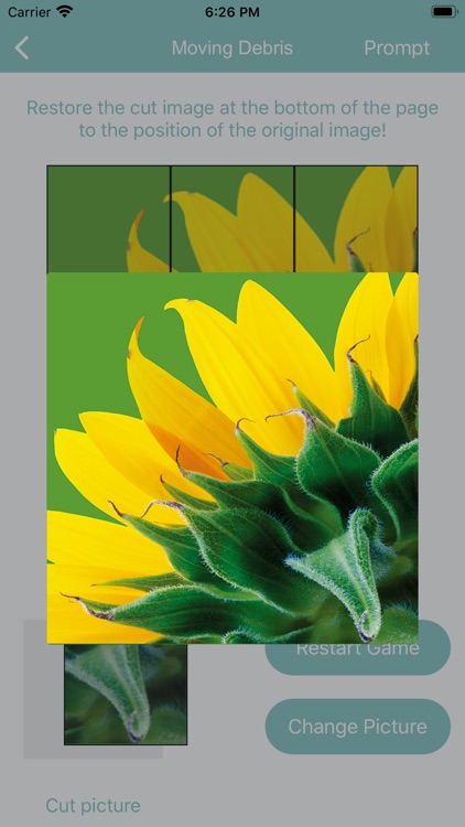 MD-Moving Debris screenshot-6