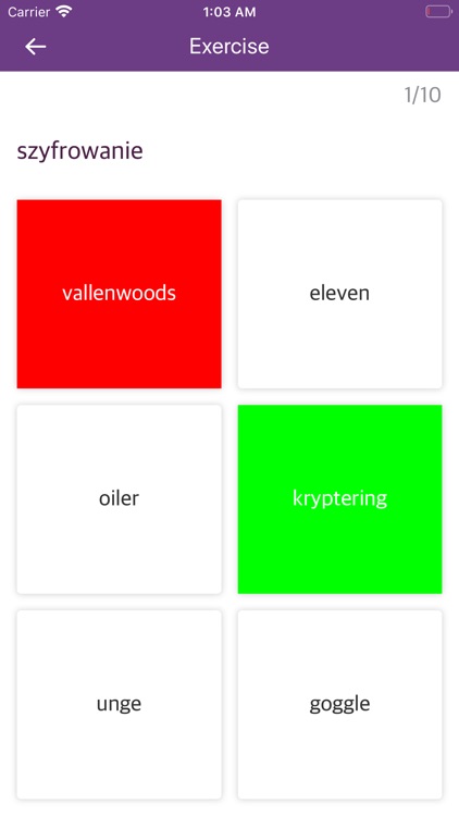 Norwegian Polish Dictionary screenshot-3