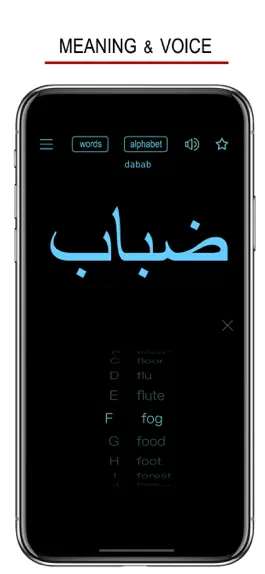 Game screenshot Arabic Words & Writing hack