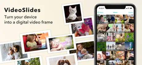 Video Slides