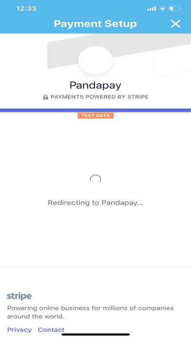 PayPanda For Business screenshot 4