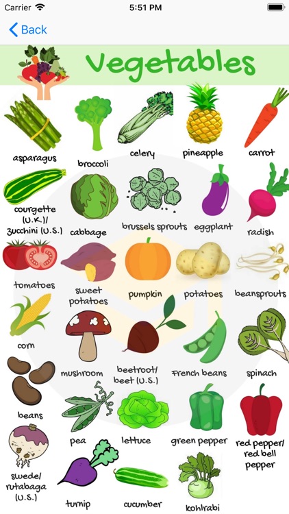 Vegetables Name with Pictures