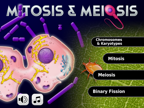 Screenshot #4 pour Biology Mitosis & Meiosis Pro