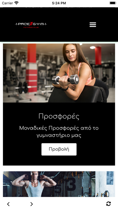 Screenshot #2 pour Pace Gym Agioi Anargyroi