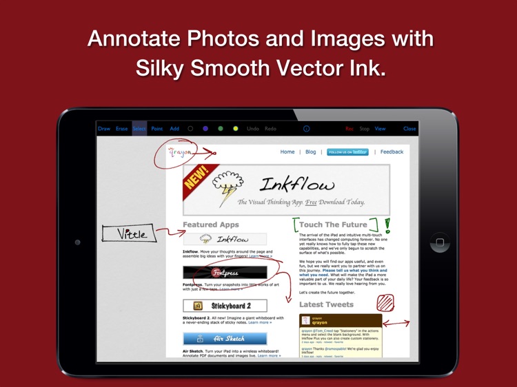 Vittle: Smart Whiteboard Video screenshot-2