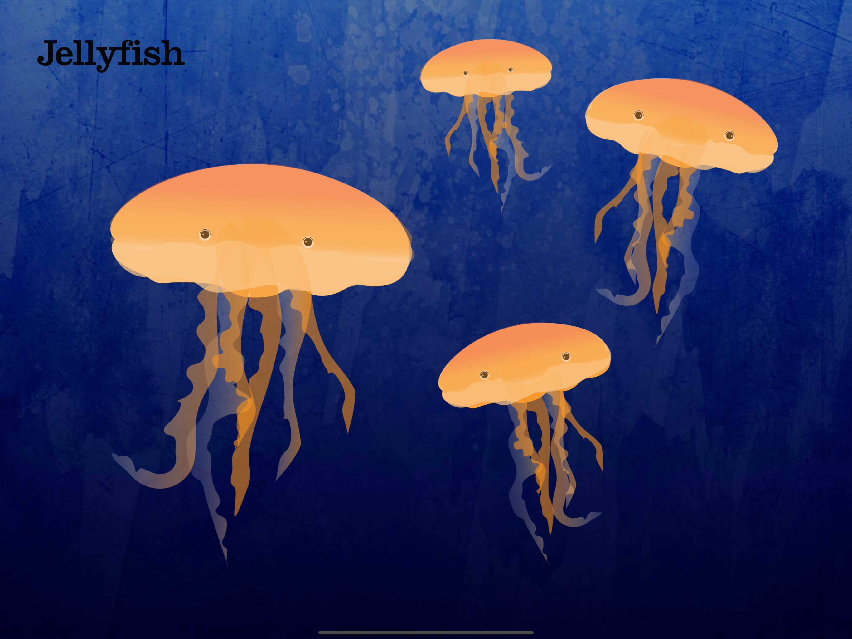 Peek-a-Zoo Underwater Sounds screenshot 16