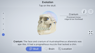Brainapse Screenshot