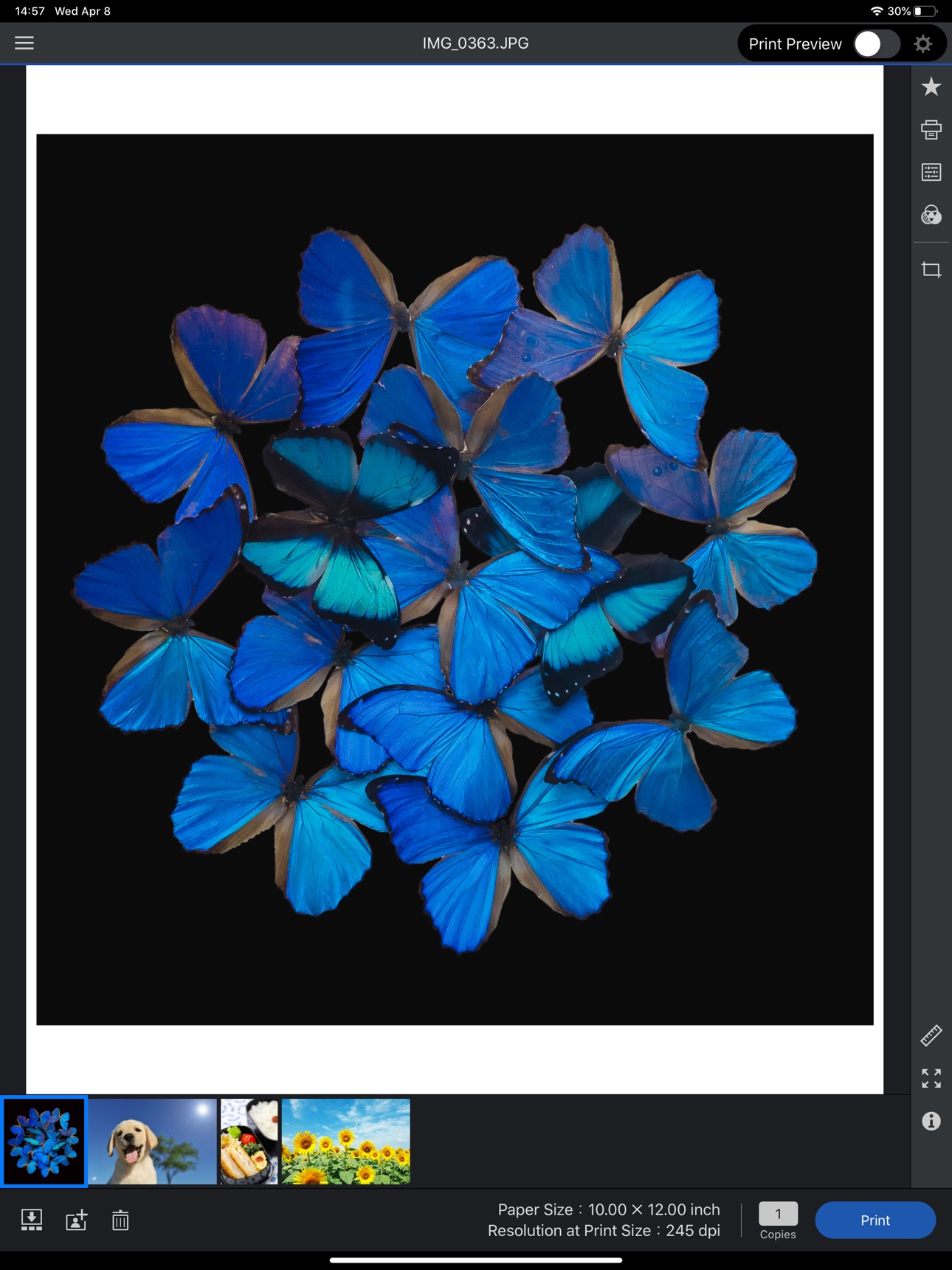 Screenshot 6 of Epson Print Layout