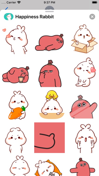 Happiness Rabbit and Friends