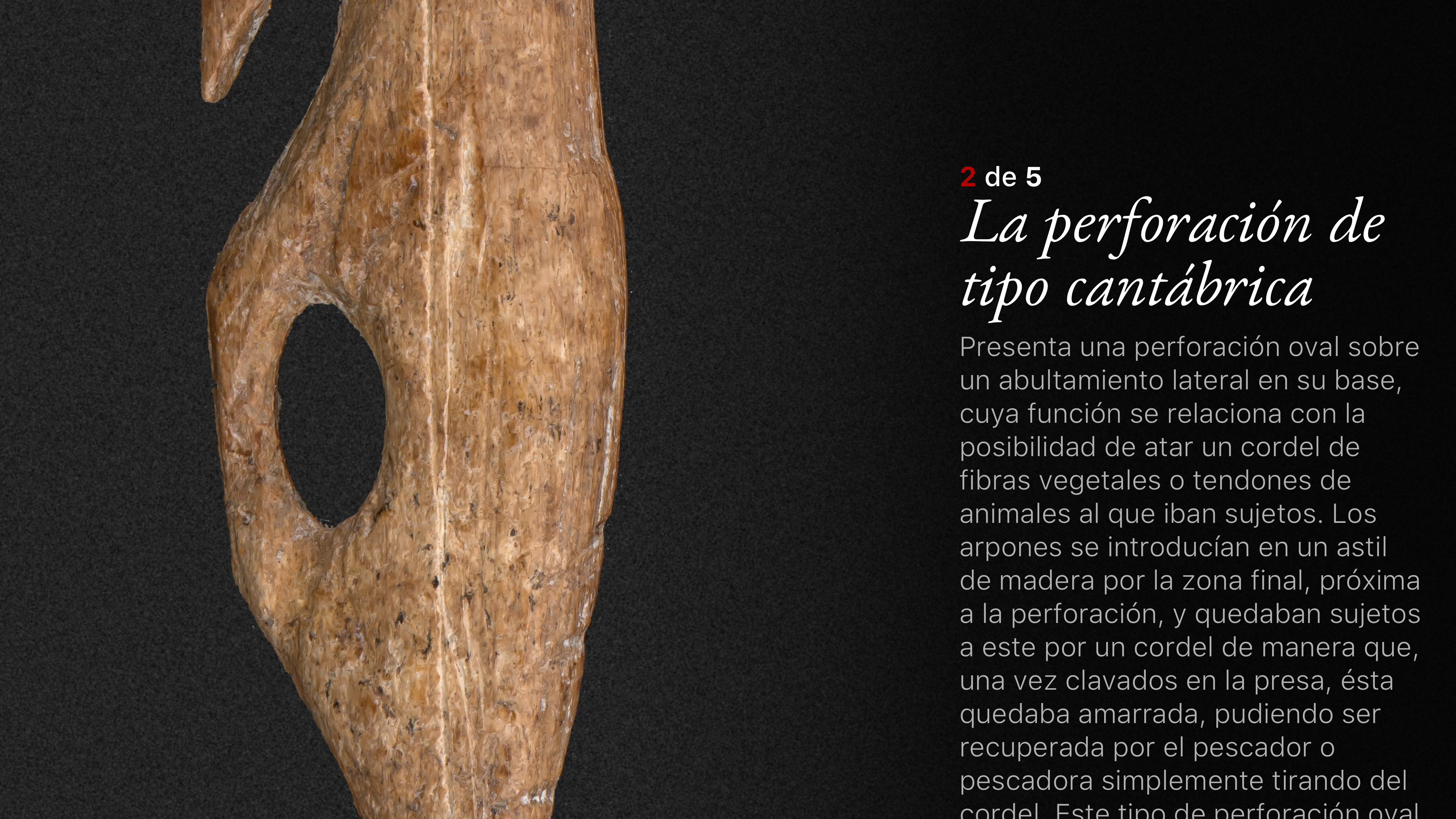 SC Museo de Altamira