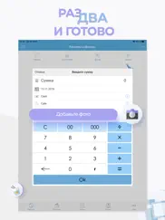 Расходы и Доходы 1С айпад изображения 2