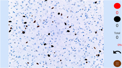 Screenshot #2 pour Manual Image Counter