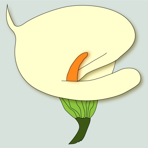 Springtime Flowers icon