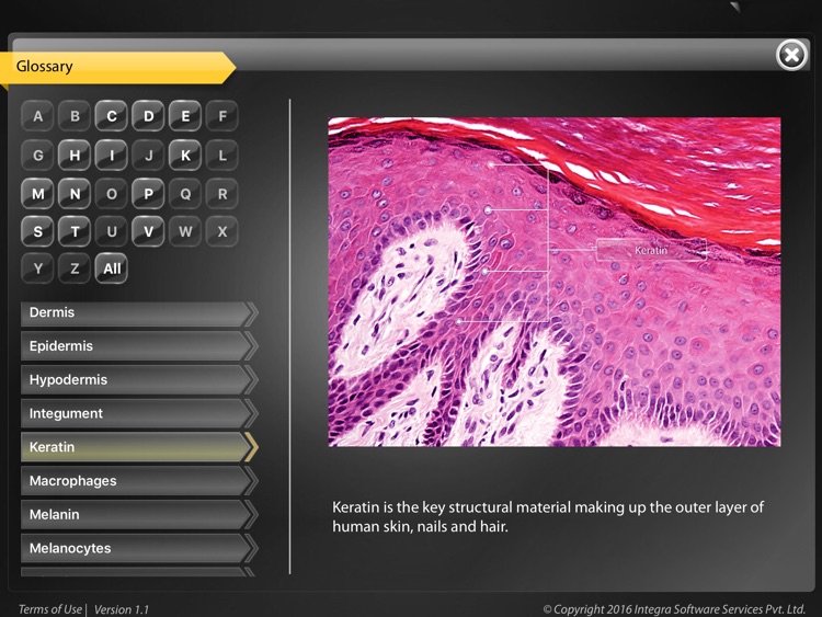 Human Anatomy - Integumentary screenshot-3