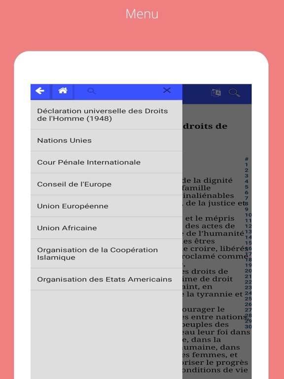 Screenshot #4 pour MobileLaw Droits de l'Homme