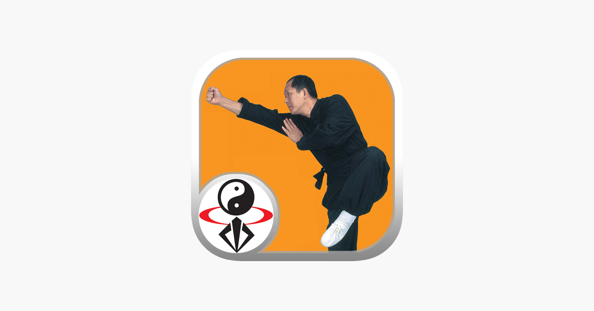 Shaolin Kung Fu Fundamental on the App Store