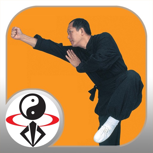Shaolin Kung Fu Fundamental icon