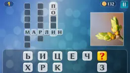 pixwords® - Кроссворды с фото айфон картинки 3