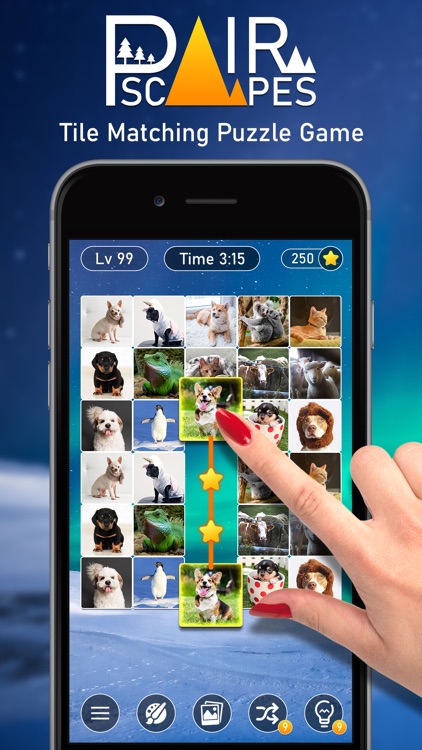 PairScapes: Pair Matching Game screenshot-0
