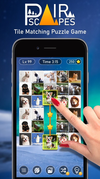 PairScapes: Pair Matching Game screenshot-0