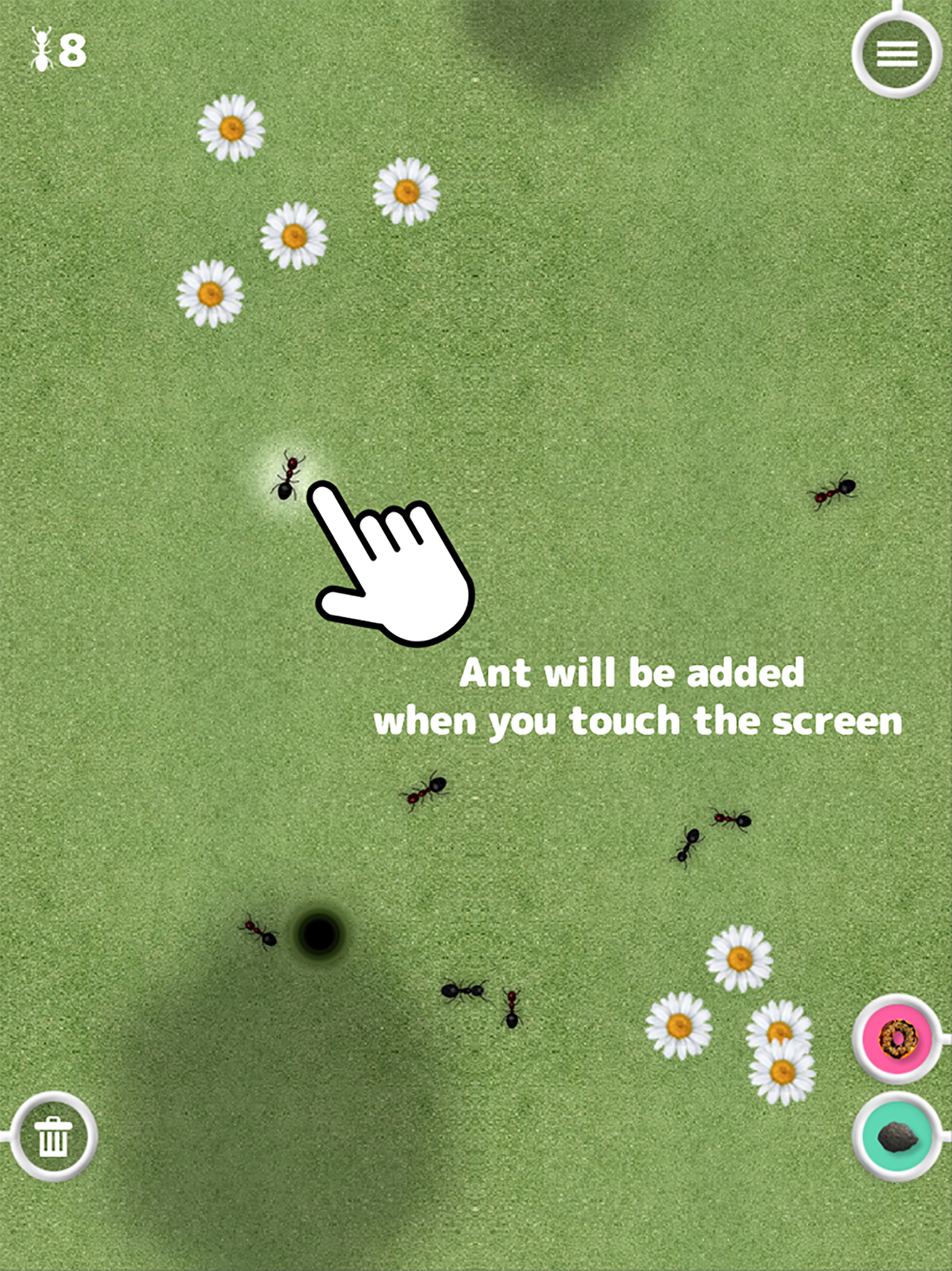 Great Ant Adventure