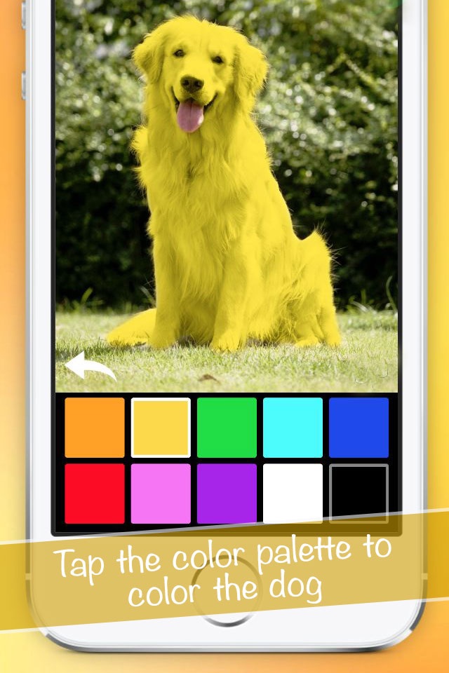 Color Zoo Lite screenshot 2