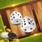 What is Backgammon