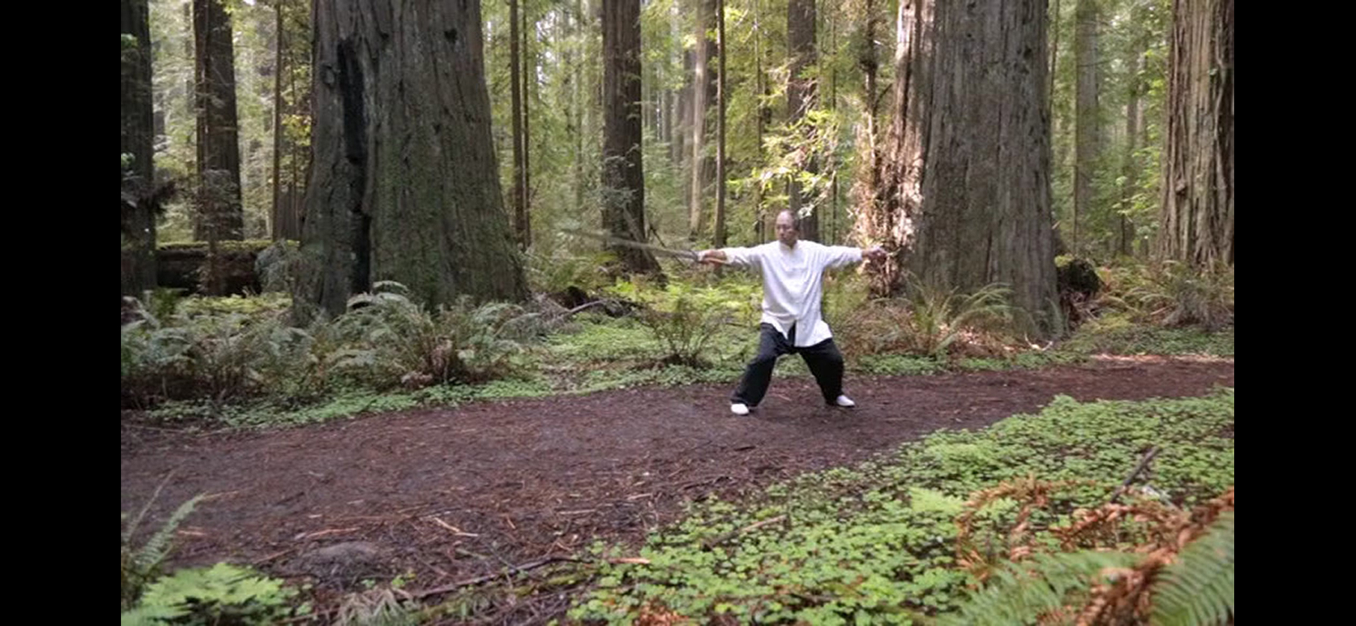 Tai Chi Sword for Beginners screenshot 5