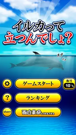 Game screenshot Can Dolphin Stand? mod apk