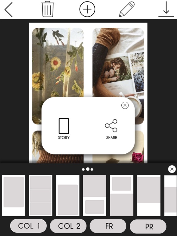 Your Story – Create Stories iPad screenshot 5 - Photo & Video app