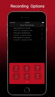 voice recorder hd pro iphone screenshot 1