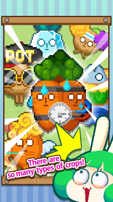 Infinite Farm