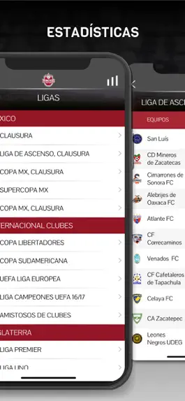 Game screenshot Mineros de Zacatecas hack