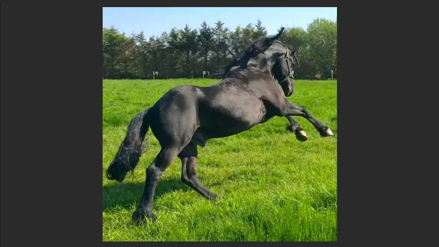 Relax & Jigsaw screenshot 7