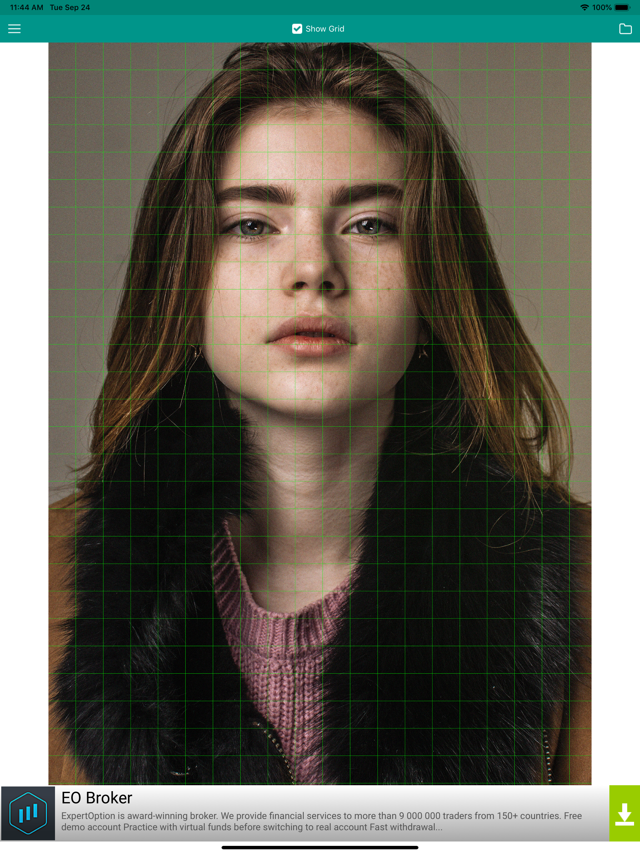 Drawing Grid For The Artist